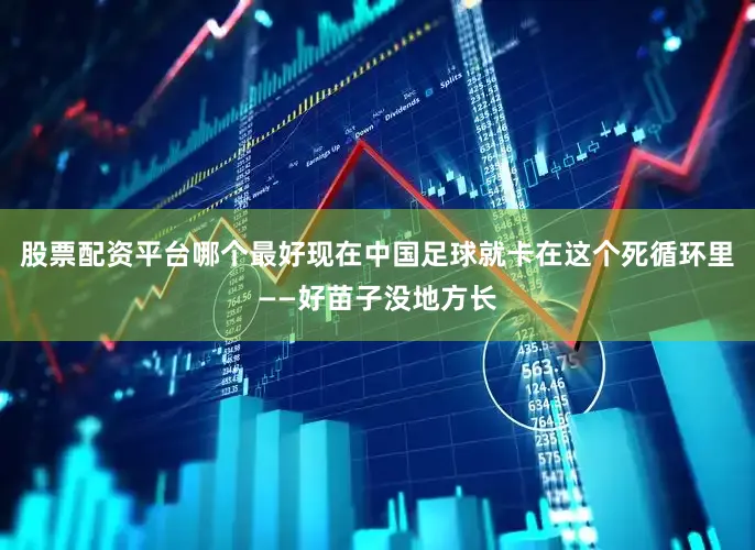 股票配资平台哪个最好现在中国足球就卡在这个死循环里——好苗子没地方长