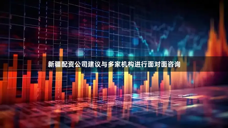新疆配资公司建议与多家机构进行面对面咨询