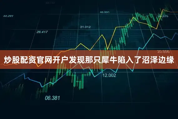 炒股配资官网开户发现那只犀牛陷入了沼泽边缘