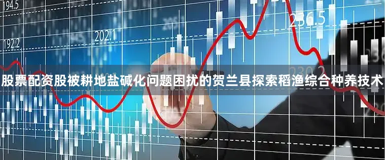 股票配资股被耕地盐碱化问题困扰的贺兰县探索稻渔综合种养技术