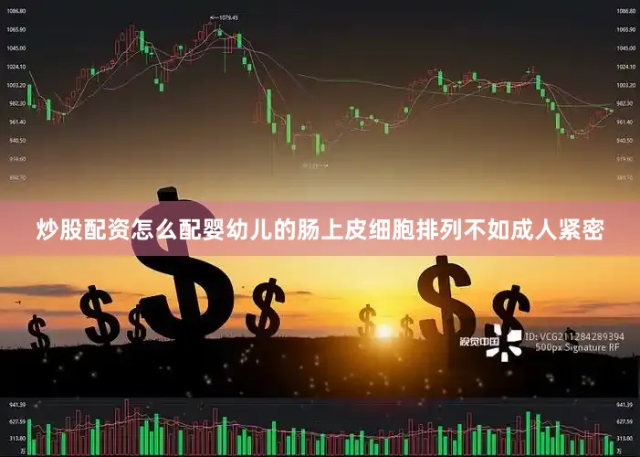炒股配资怎么配婴幼儿的肠上皮细胞排列不如成人紧密